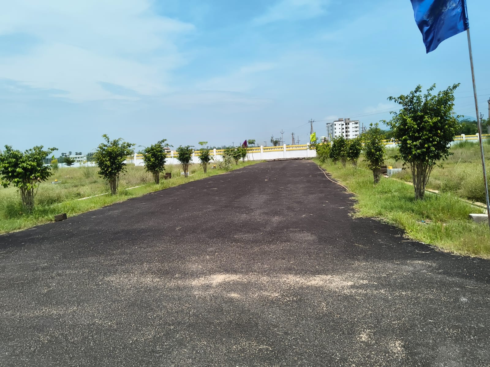 WhatsApp Image 2025-08-02 at 4.54.45 PM (3)